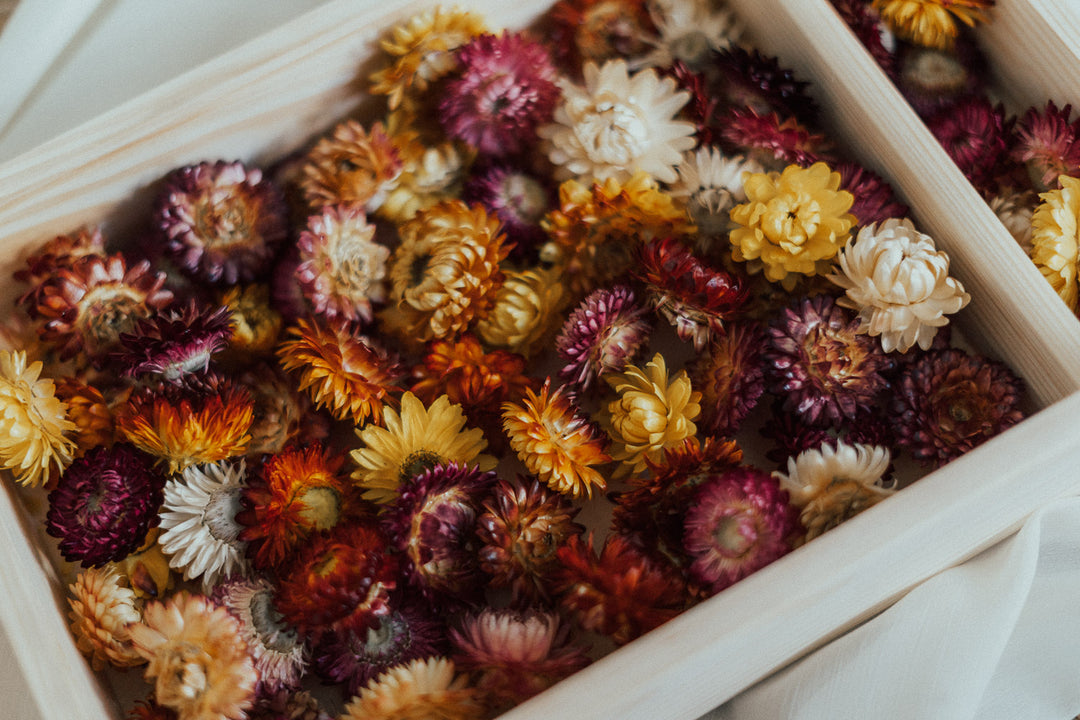 Getrocknete Blumen