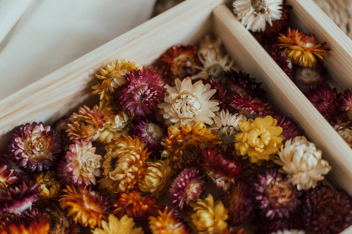 Getrocknete Blumen