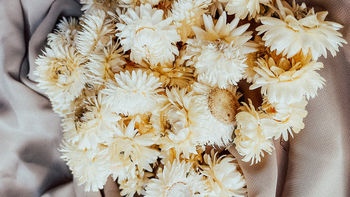 getrocknete Blumen