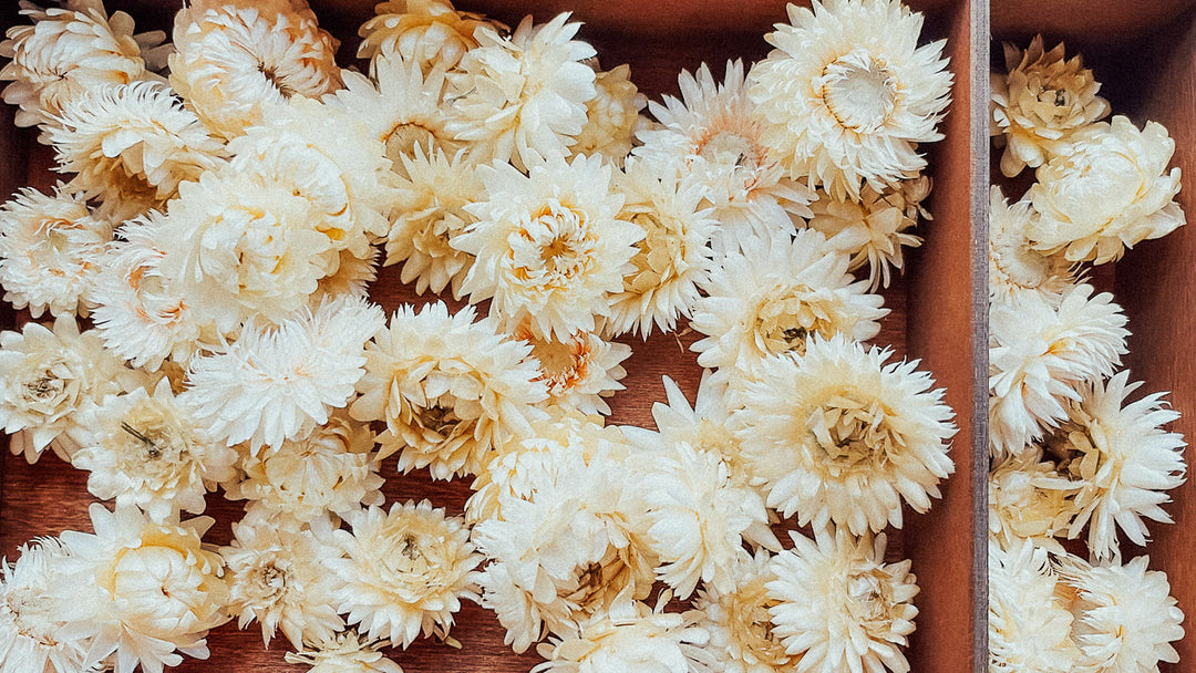 Getrocknete Blumen in weiß – woodenlove