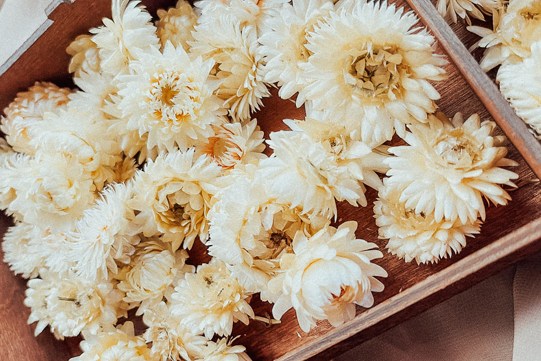Getrocknete Blumen in weiß
